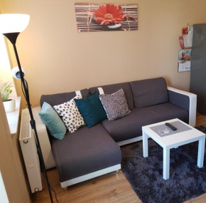 New Apartment 10 min to train station